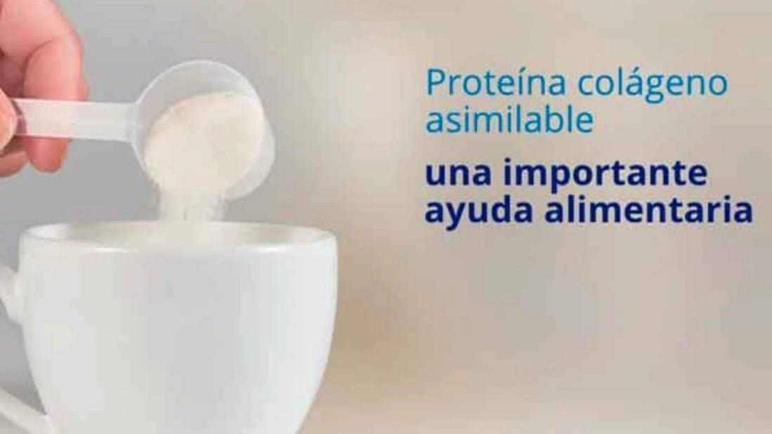 Indicaciones sobre el colágeno de la marca Colnatur