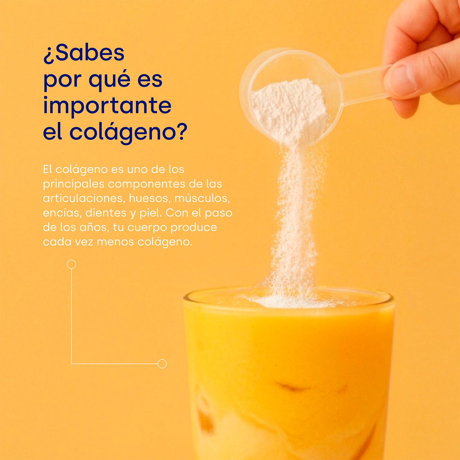 Colnatur® COMPLEX Cúrcuma