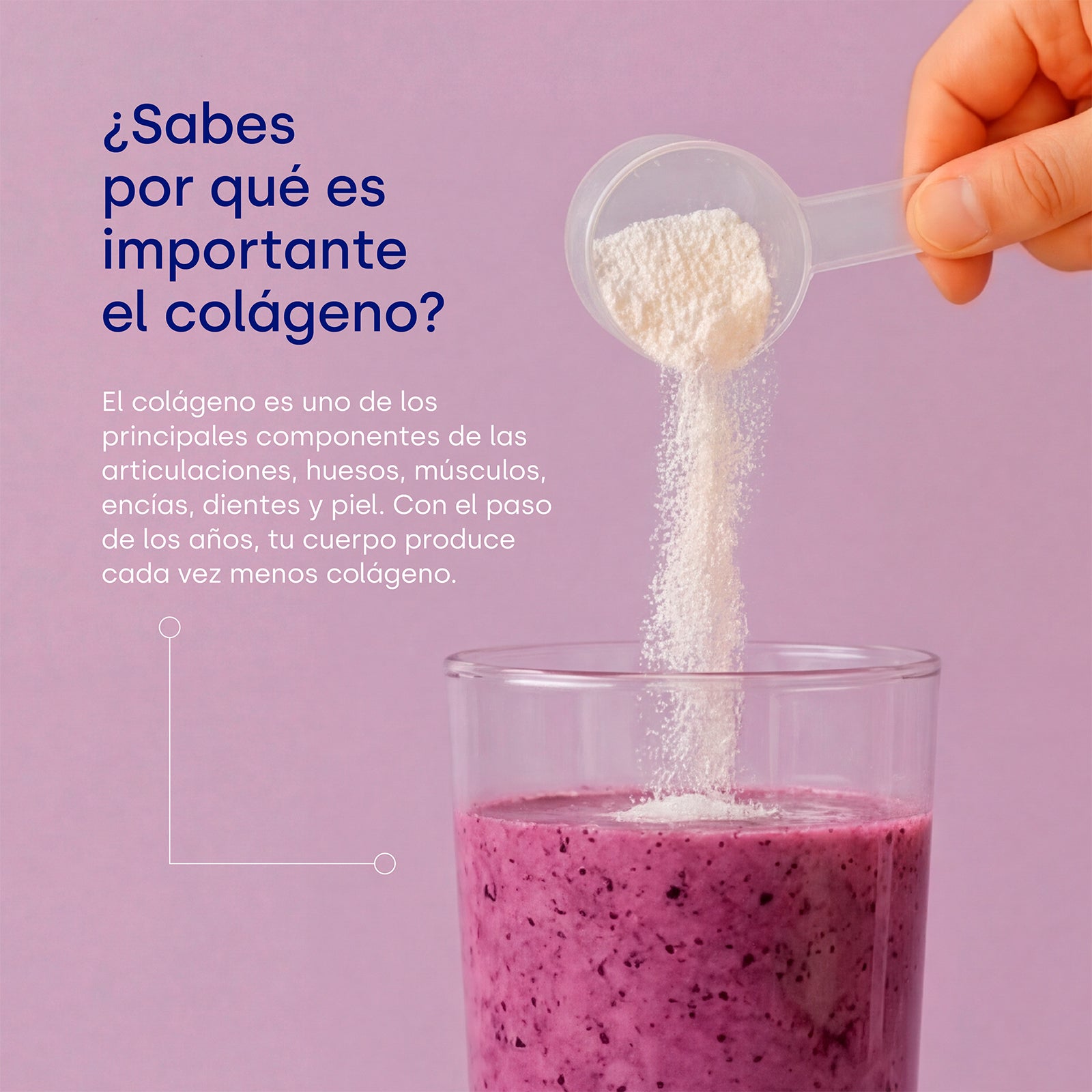 Colnatur® COMPLEX Frutas del Bosque