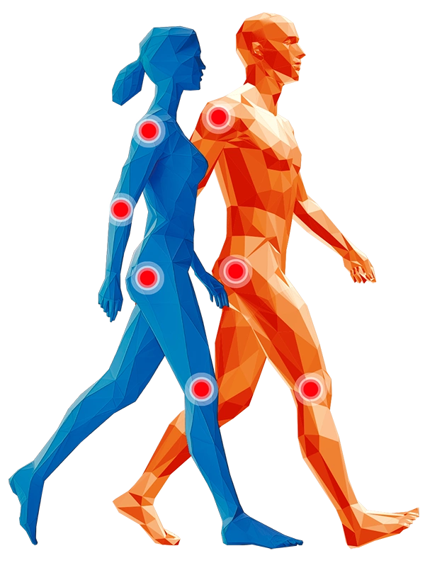 Avatares de Colnatur Complex 