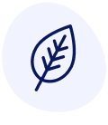 mentol